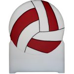BALON VOLEIBOL (140 cm. Alto)