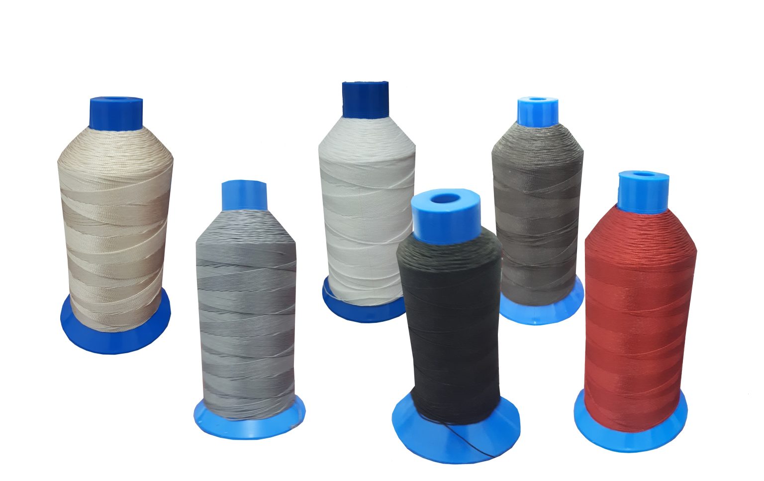 ARIZONA (125 cm. Alto)